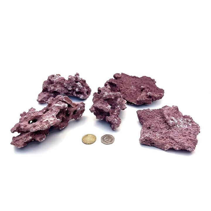 D-D MARCO CORALLINE FRAG MOUNTS 4kg