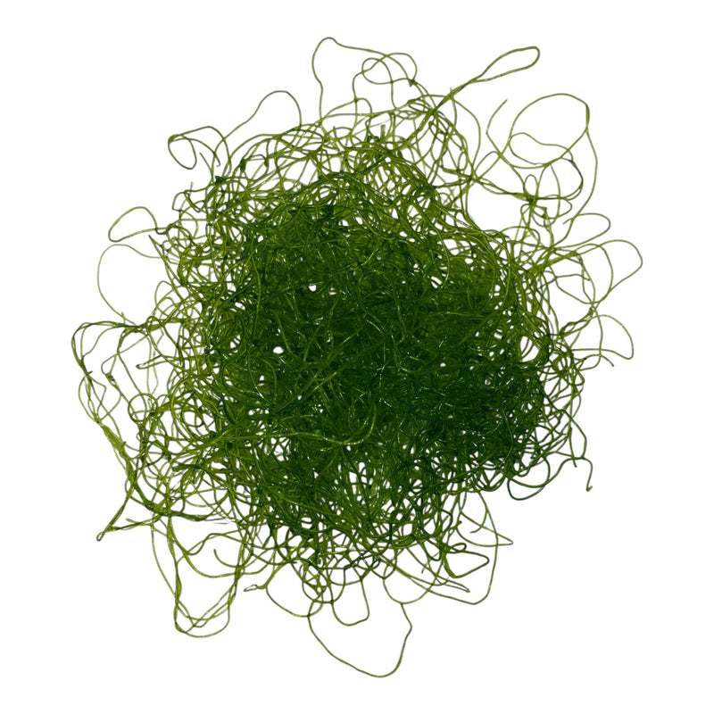 Drahtalge - Chaetomorpha sp. Portion