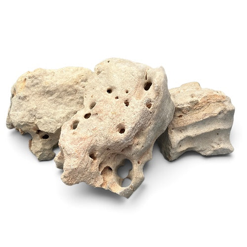 Asiatisches Lochgestein 1kg