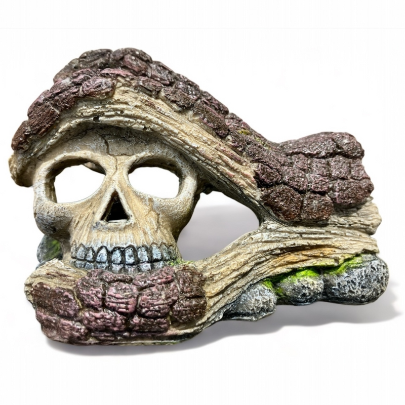 Amtra hölzerne Hand mit Totenkopf