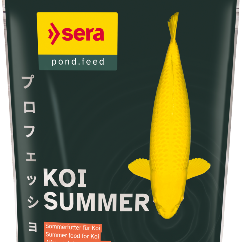 Sera KOI Professional Sommerfutter