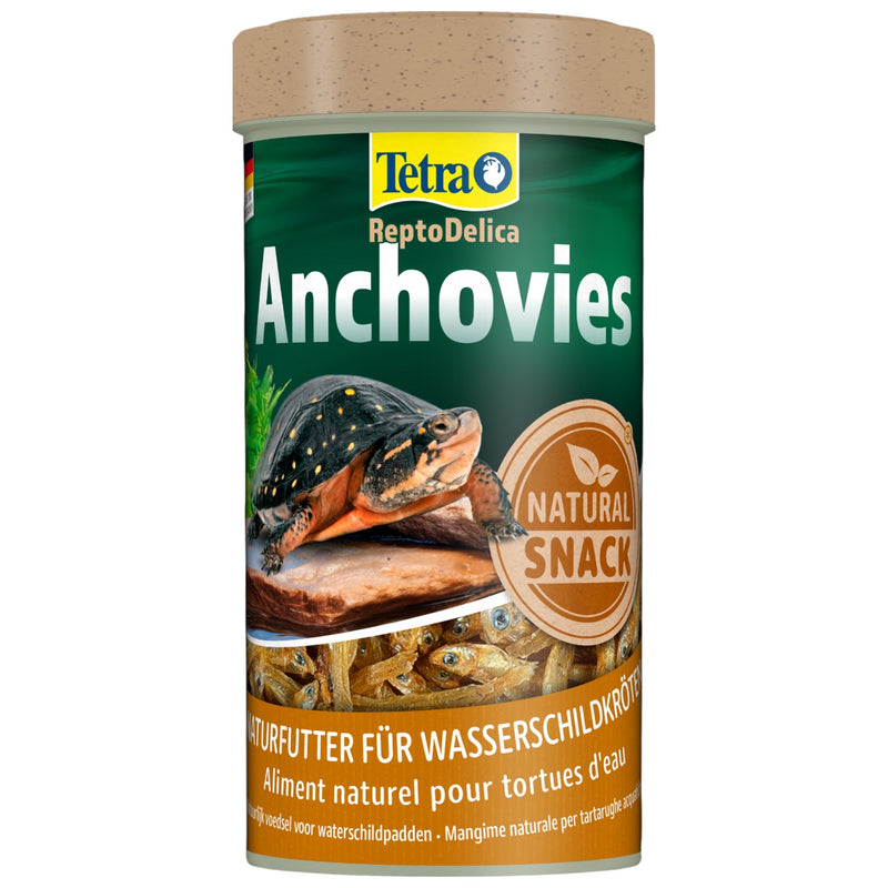 Tetra Anchovies