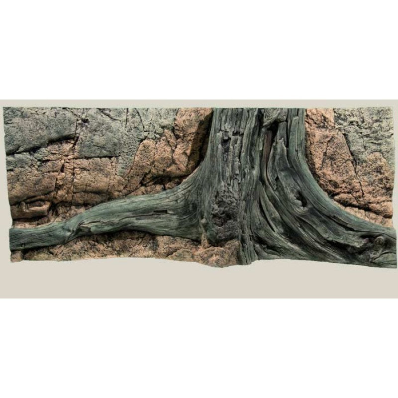 Back to Nature  Amazonas Rückwand 120x50cm