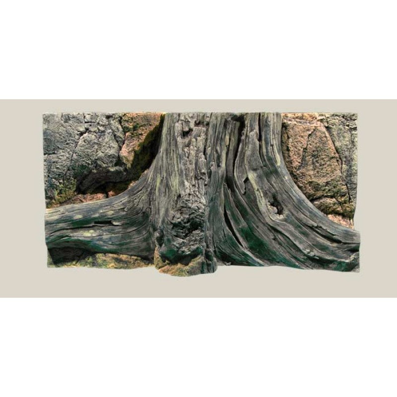 Back to Nature Amazonas Rückwand 80x40cm