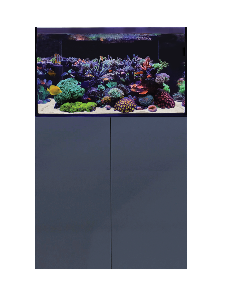 D-D Aqua-Pro Reef 900 - ANTHRACITE GLOSS Meerwasseraquarium