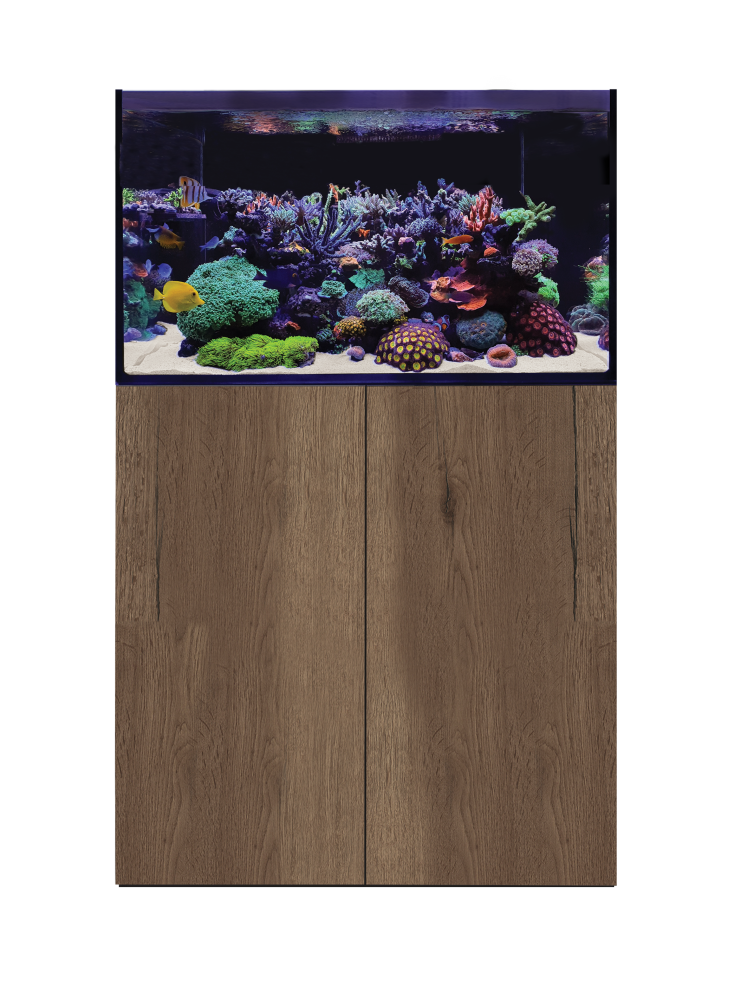 D-D Aqua-Pro Reef 900 - TOBACCO OAK Meerwasseraquarium