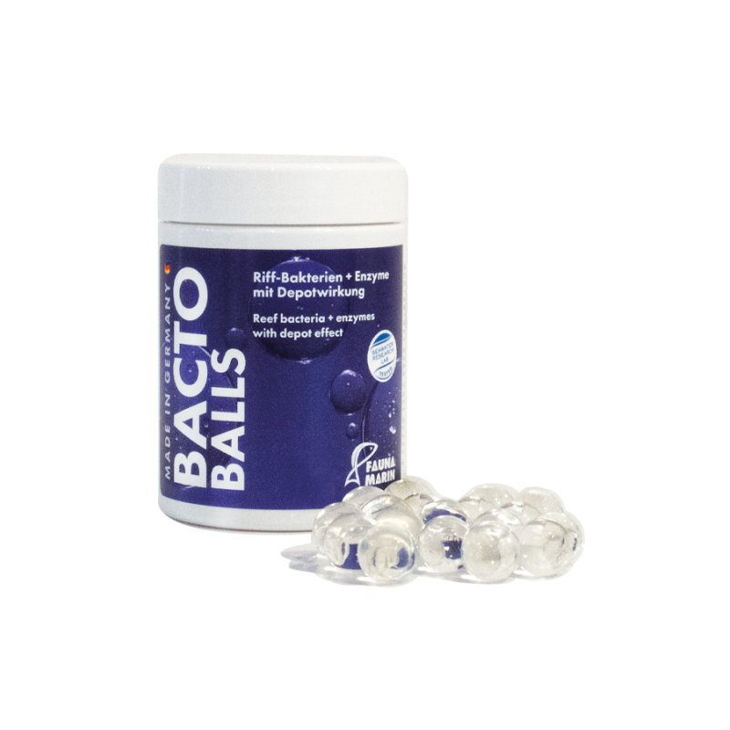 Fauna Marin Bacto Reef Balls