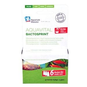 Aquarium Münster AQUAVITAL BACTOSPRINT 6 Wochen Kur
