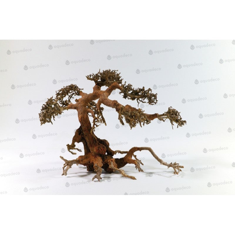 Aquadeco Aqua Bonsai