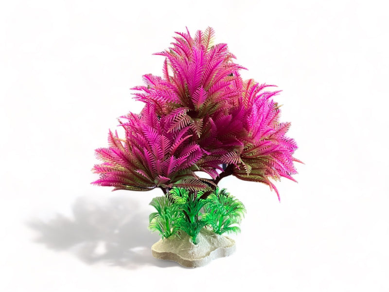 Bonsai pink
