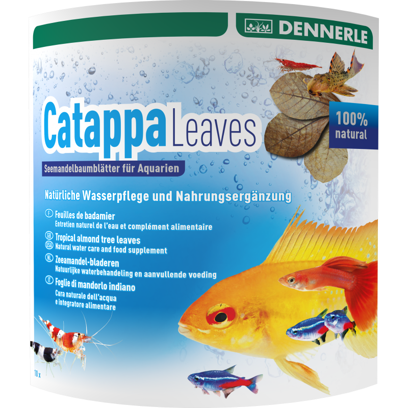 Dennerle Catappa Leaves - Seemandelbaumblätter 10 Stk.