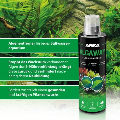 Arka Algaway Algenentferner