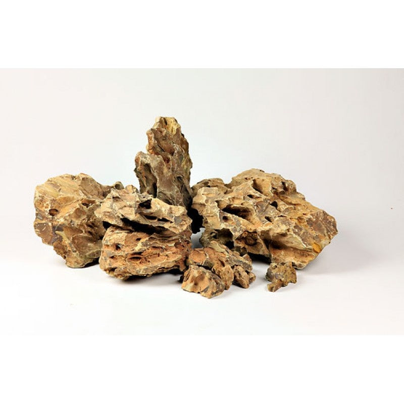 Drachenstein 1 Stück 0,8-1,2kg