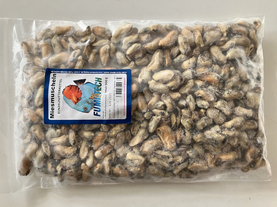 Zoo Schatz Miesmuscheln lose 500g Beutel