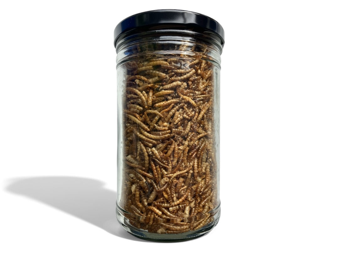 Mehlwürmer getrocknet 1000ml im Glas mit Schraubdeckel