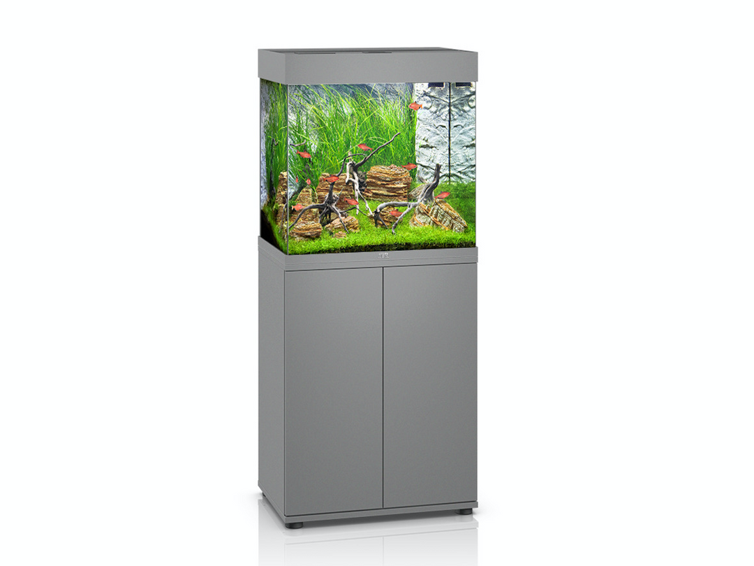Juwel Lido 120 Aquarium grau Kombination