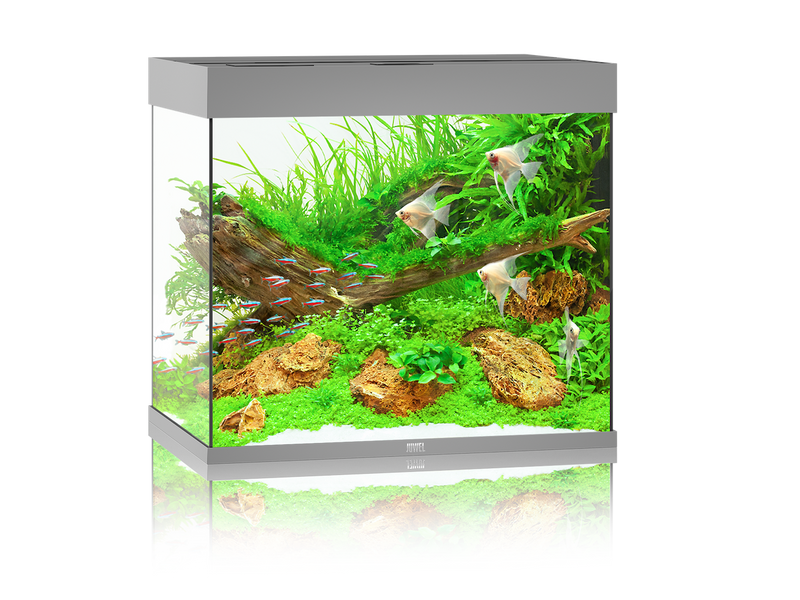 Juwel Lido 200 Aquarium grau