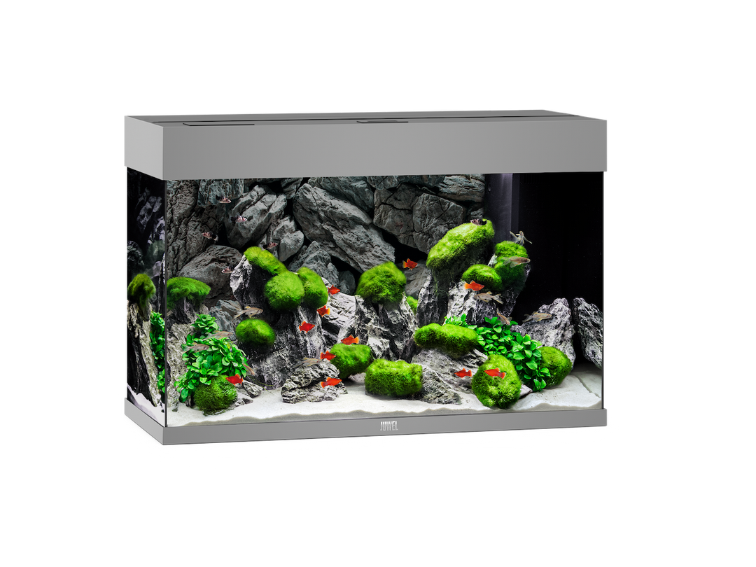 Juwel Rio 125 Aquarium grau