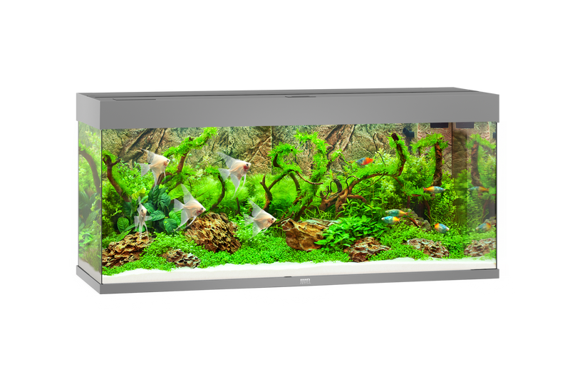 Juwel Rio 240 Aquarium grau