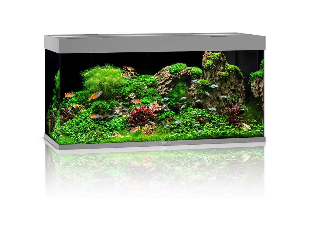 Juwel Rio 350 Aquarium grau