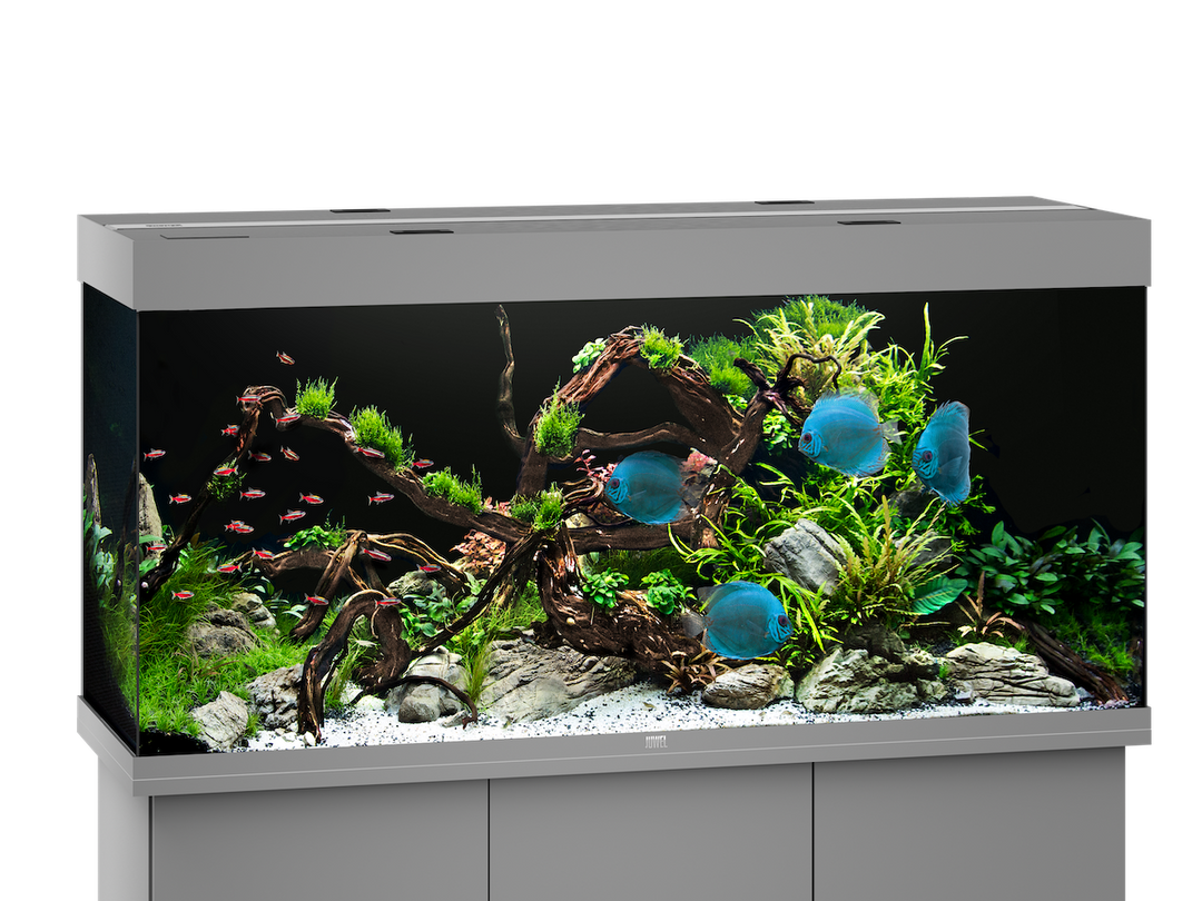 Juwel Rio 450 Aquarium grau
