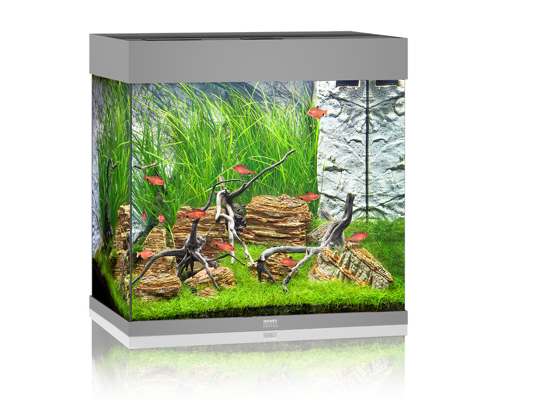 Juwel Lido 120 Aquarium grau