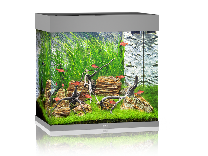 Juwel Lido 120 Aquarium grau