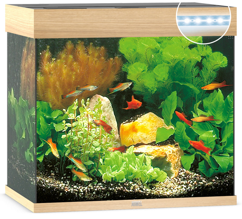 Juwel Lido 120 Aquarium helles Holz