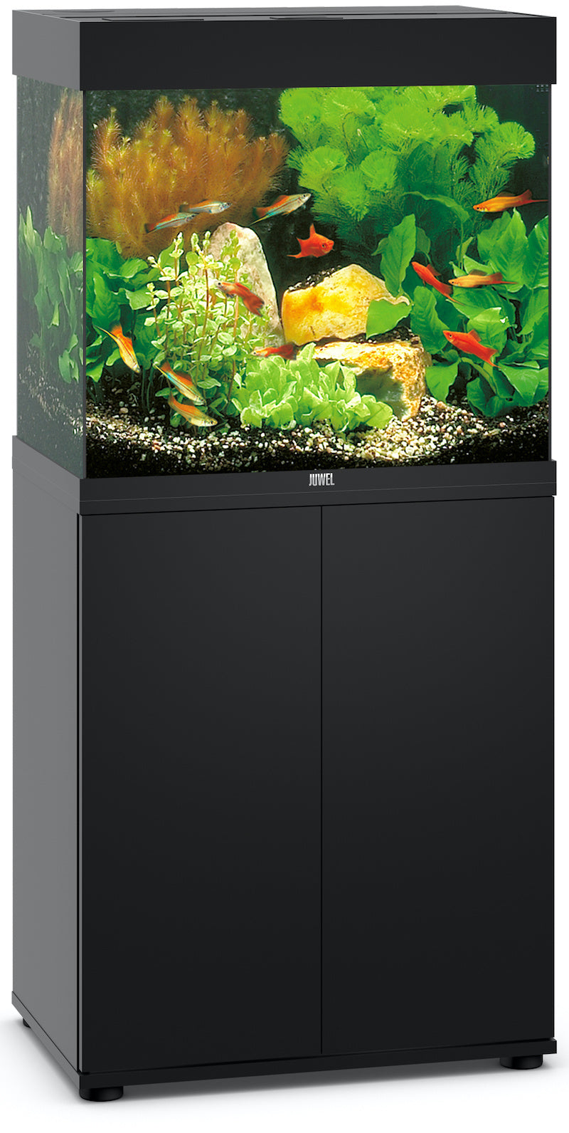 Juwel Lido 120 Aquarium schwarz Kombination