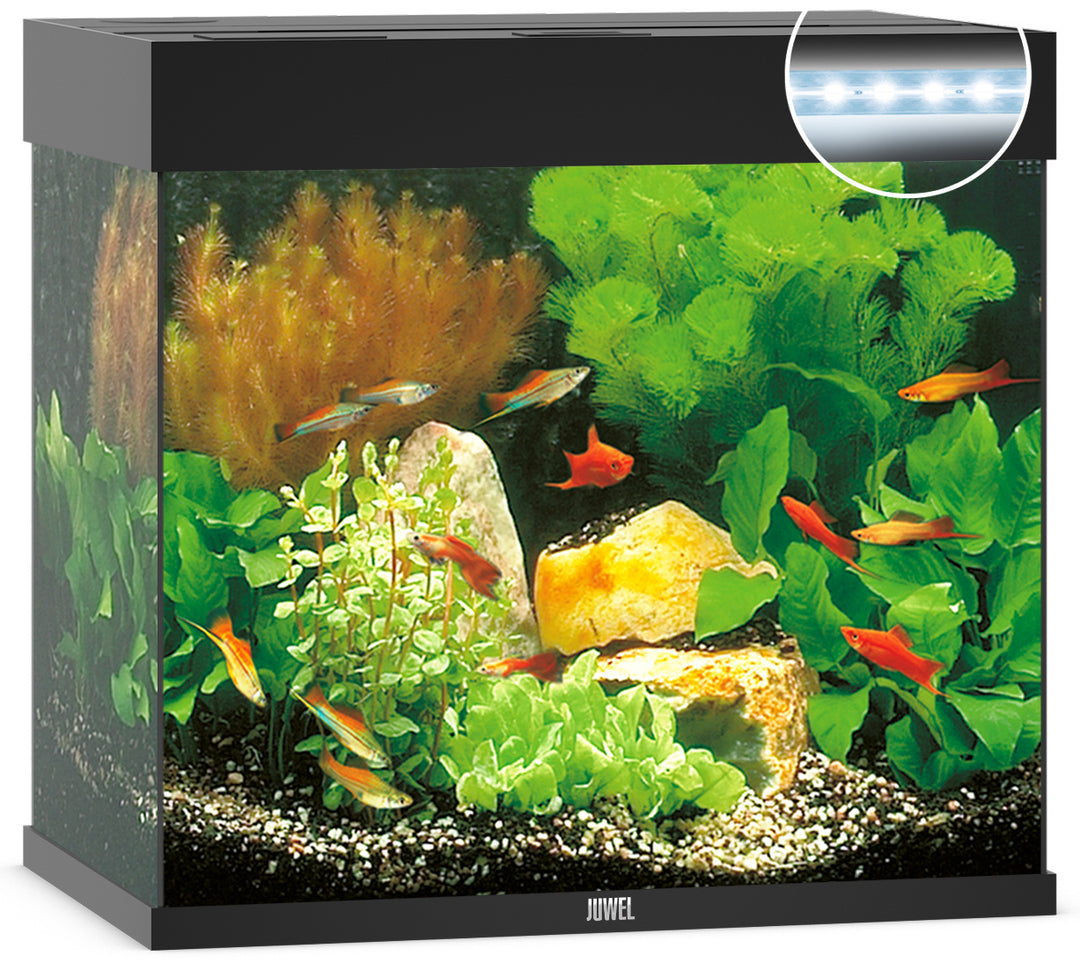 Juwel Lido 120 Aquarium schwarz