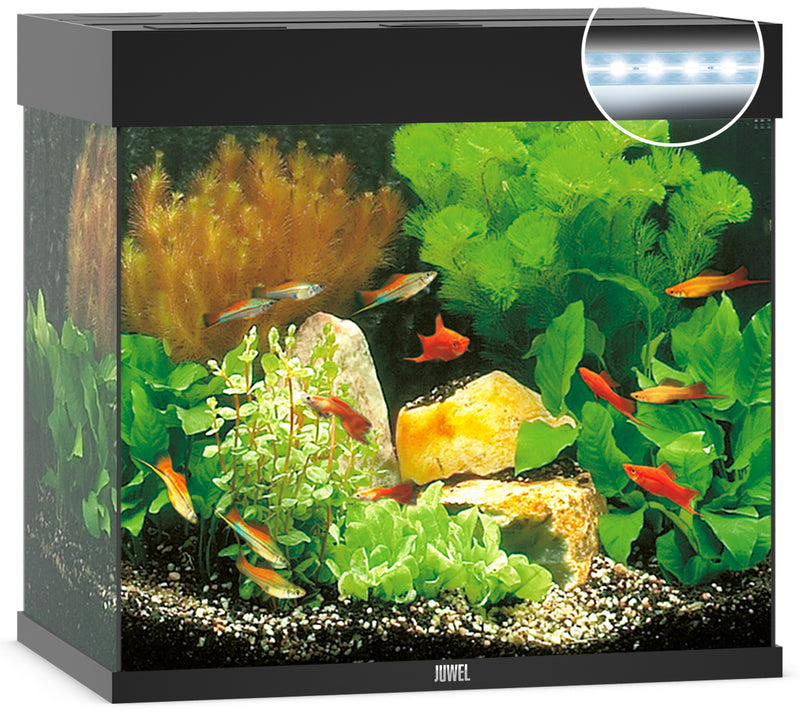Juwel Lido 120 Aquarium schwarz