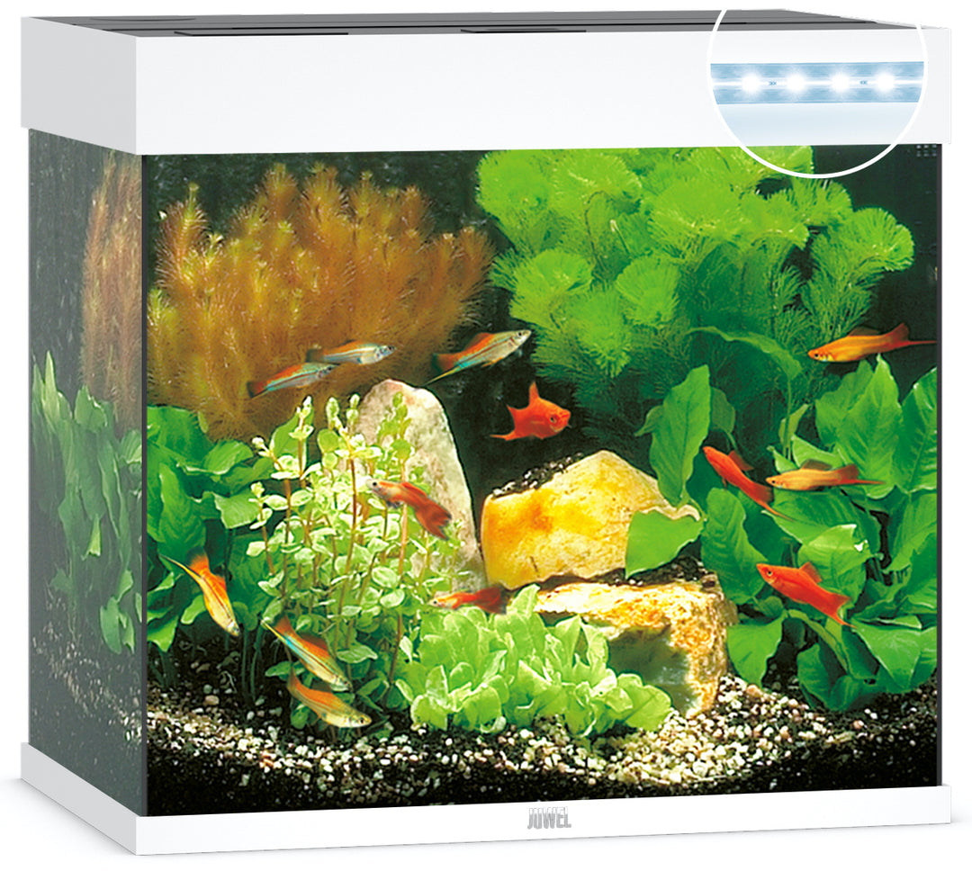 Juwel Lido 120 Aquarium weiß