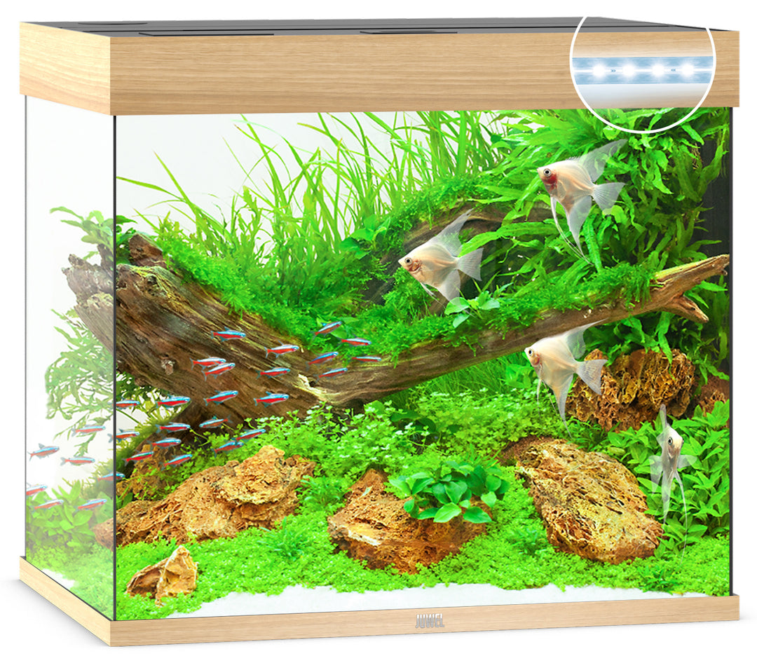 Juwel Lido 200 Aquarium helles Holz