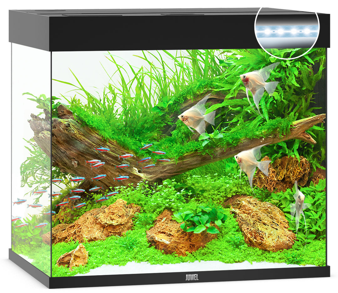 Juwel Lido 200 Aquarium schwarz