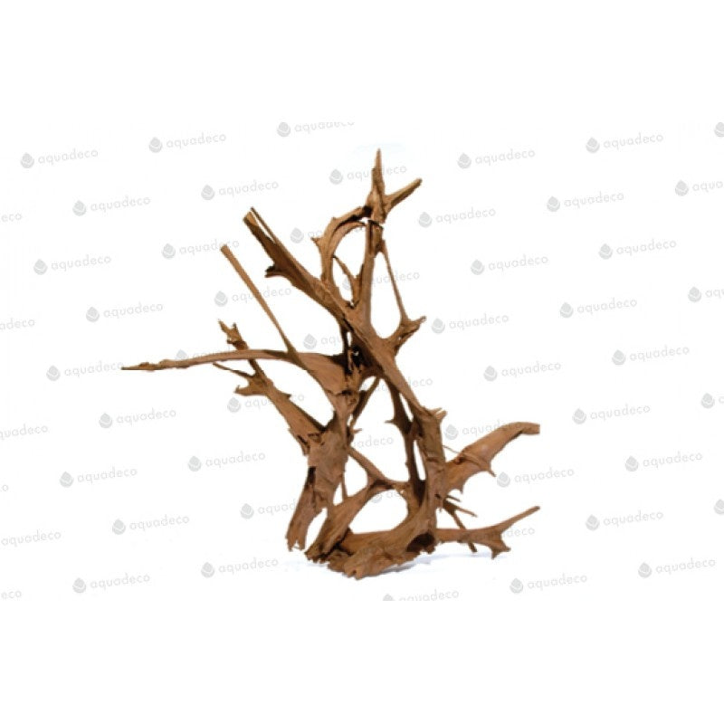 Aquadeco Mangrove, natur