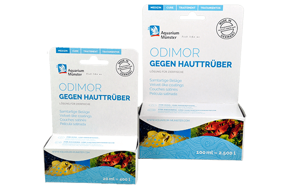 Aquarium Münster ODIMOR gegen Hauttrüber