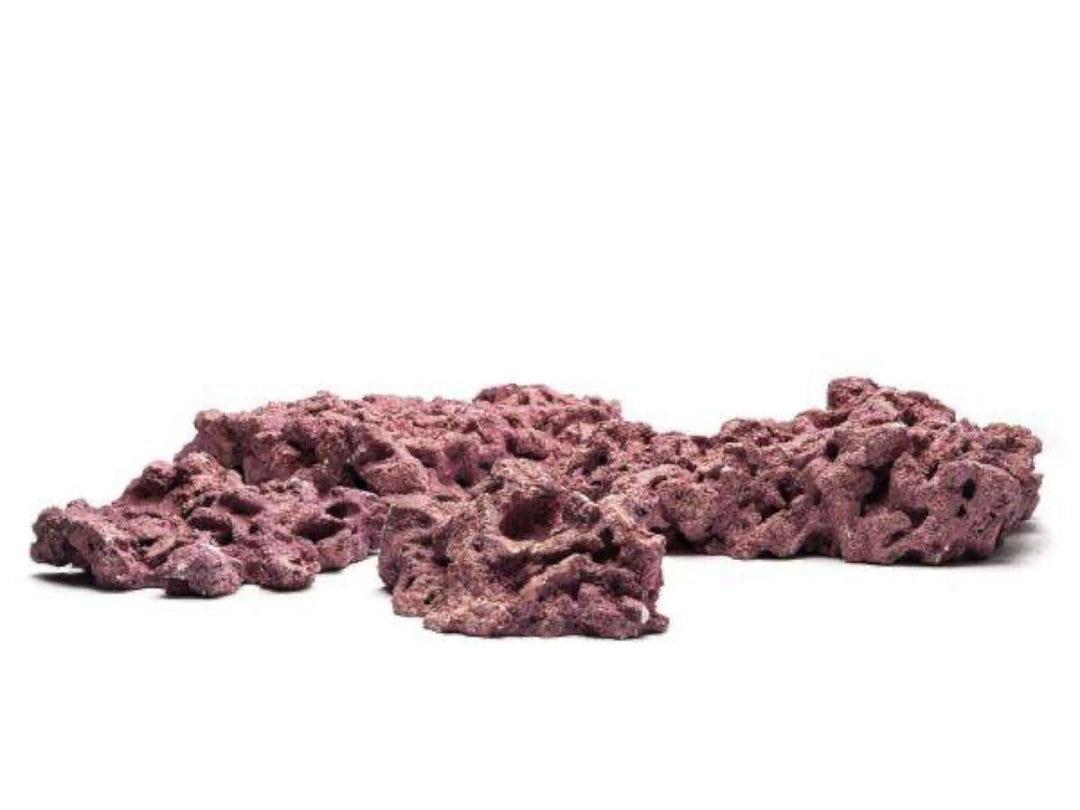 D-D MARCO FOUNDATION ROCK CORALLINE 18KG BOX