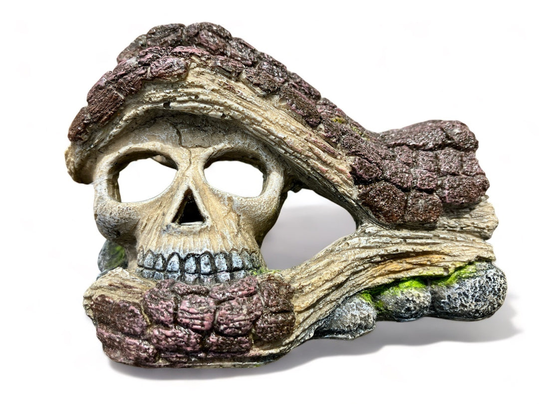 Amtra hölzerne Hand mit Totenkopf