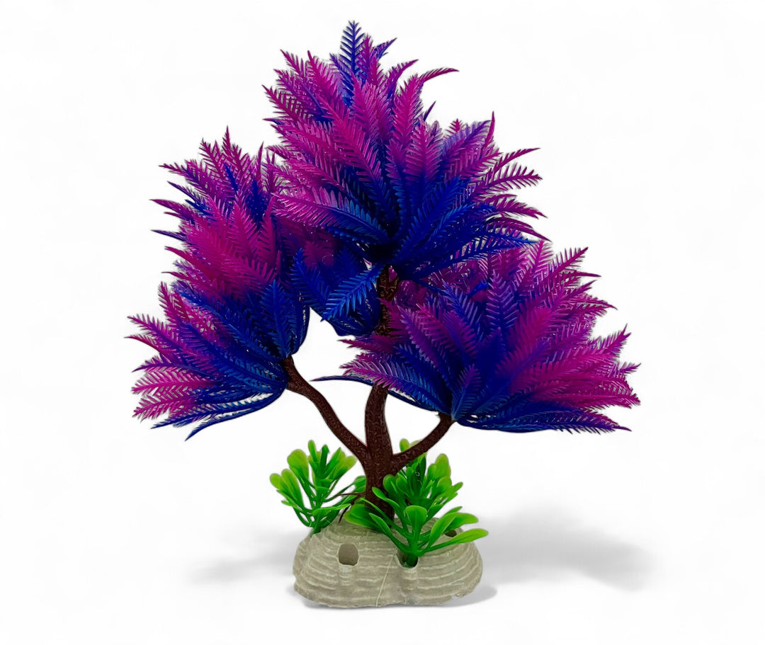 Bonsai lila