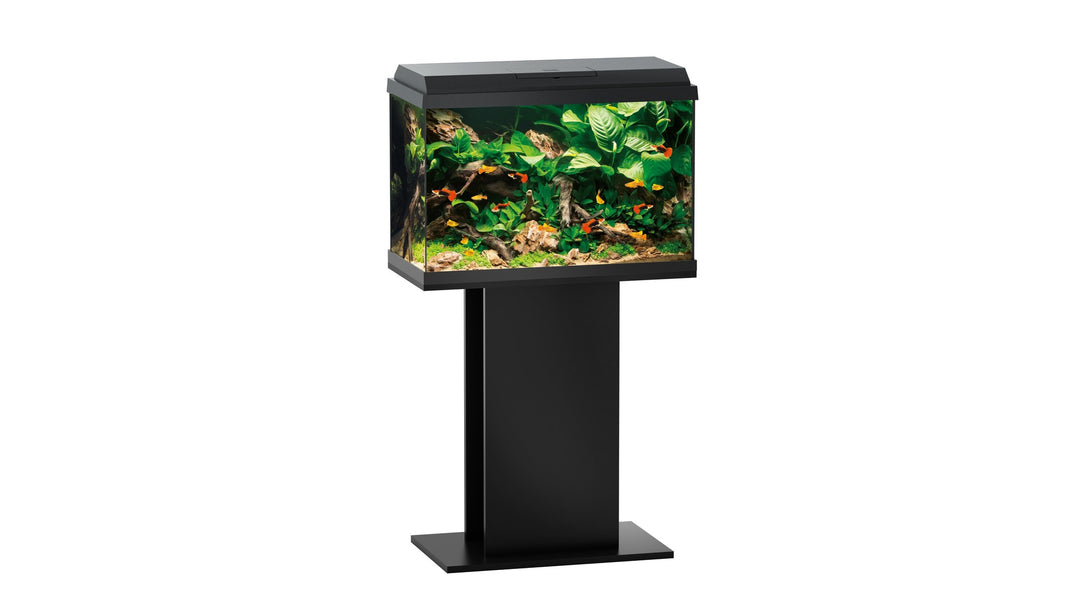 Juwel Primo 70 Aquarium schwarz Kombination