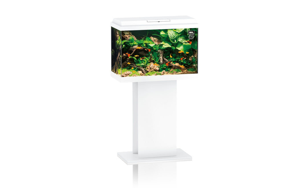 Juwel Primo 70 Aquarium weiß Kombination