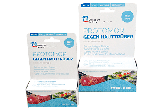Aquarium Münster PROTOMOR gegen Protozoen-Infektionen