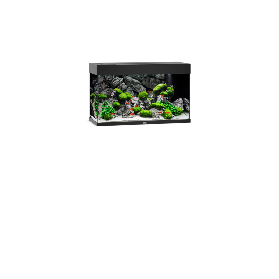 Juwel Rio 125 Aquarium schwarz
