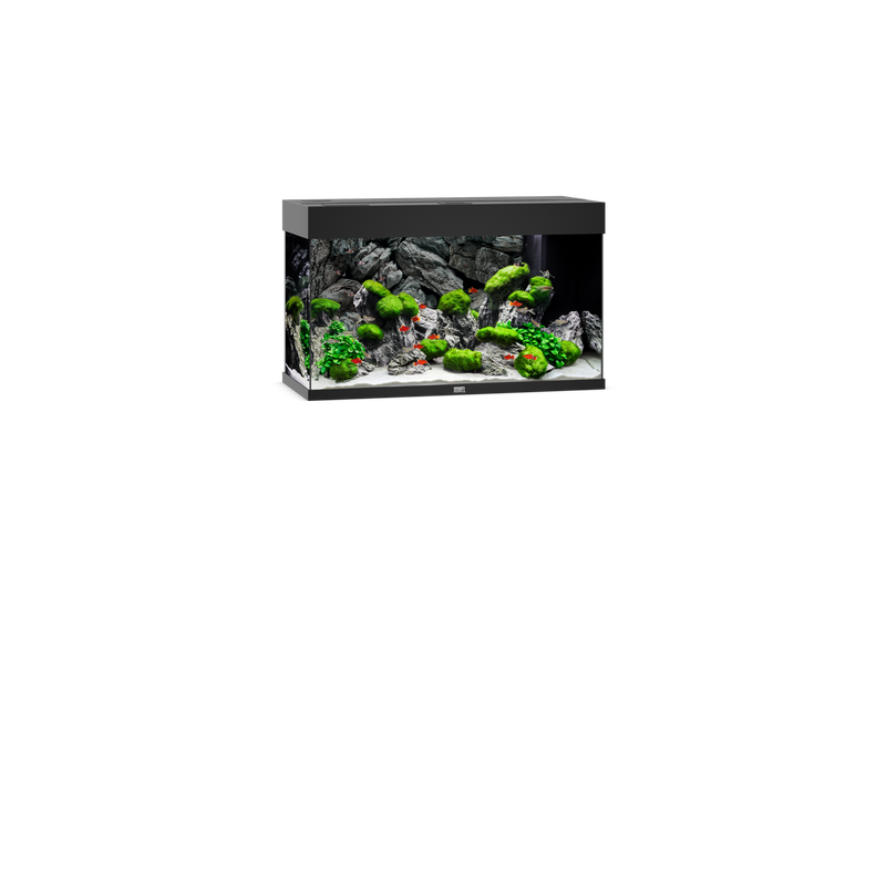 Juwel Rio 125 Aquarium schwarz