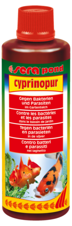sera pond cyprinopur