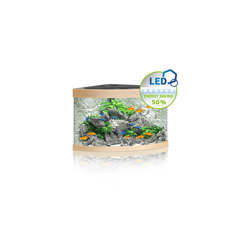 Juwel Trigon 350 Aquarium helles Holz