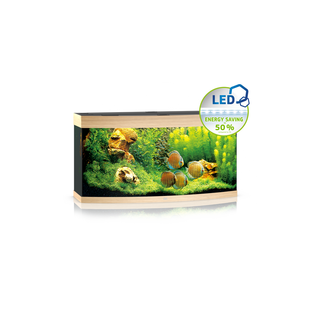 Juwel Vision 260 Aquarium helles Holz